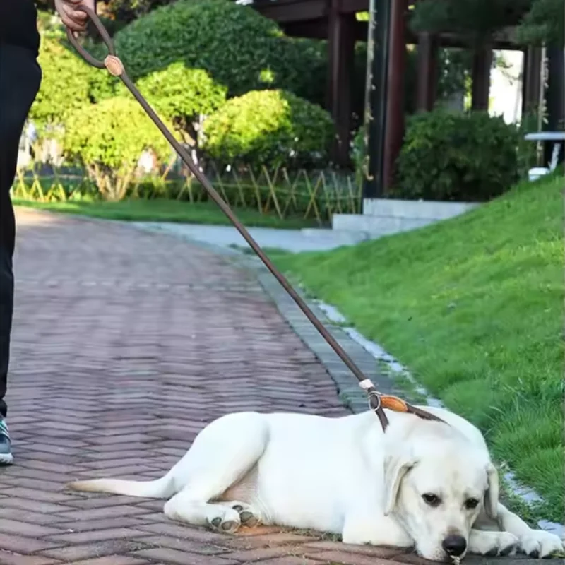 Thumbnail 4 - #49 Best Dog Leads to Buy In 2026