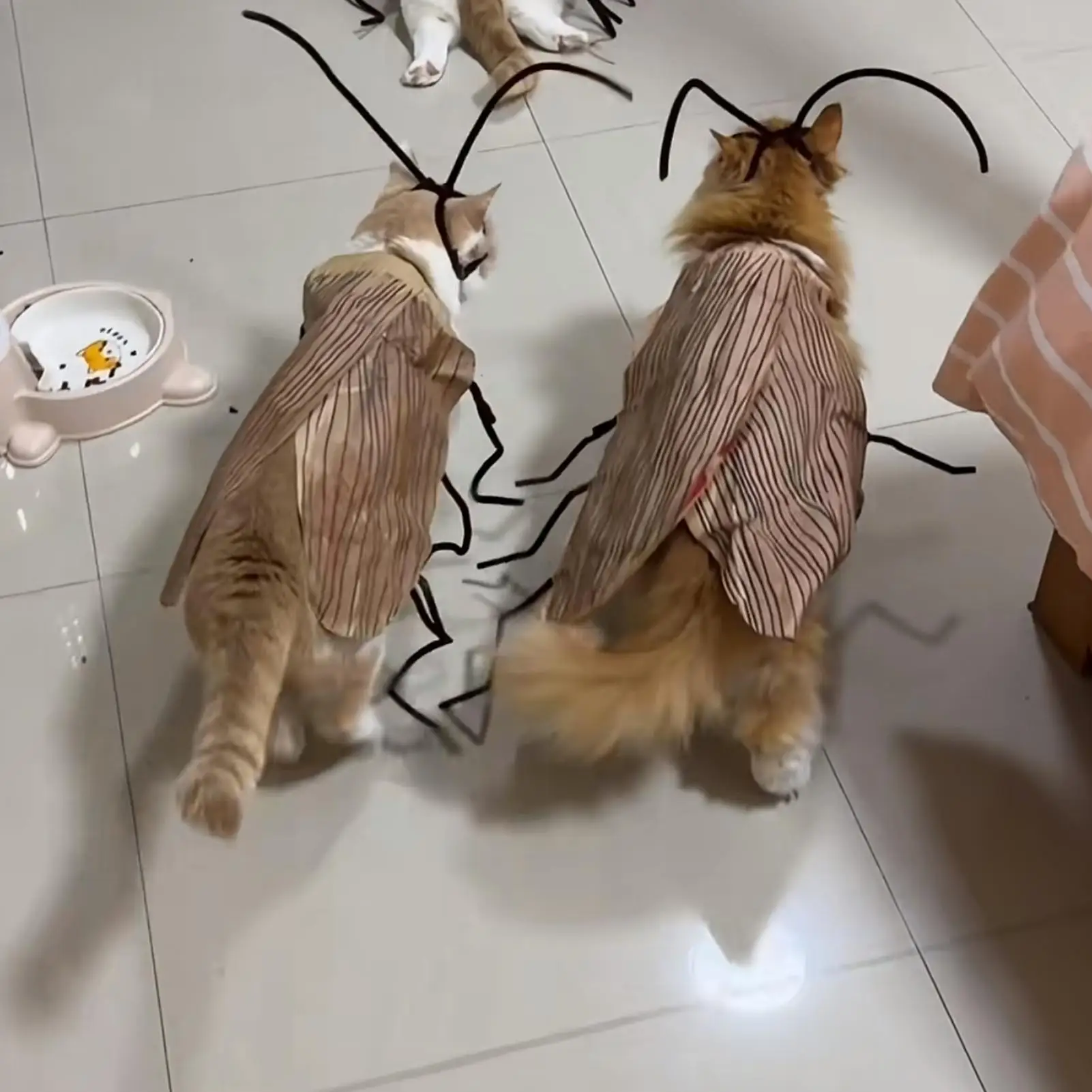 Cockroach Costume for Cats Pet Apparel Dress up Wings and Antenna Set Pet Supplies for Holiday Festival Party Decoration Outdoor