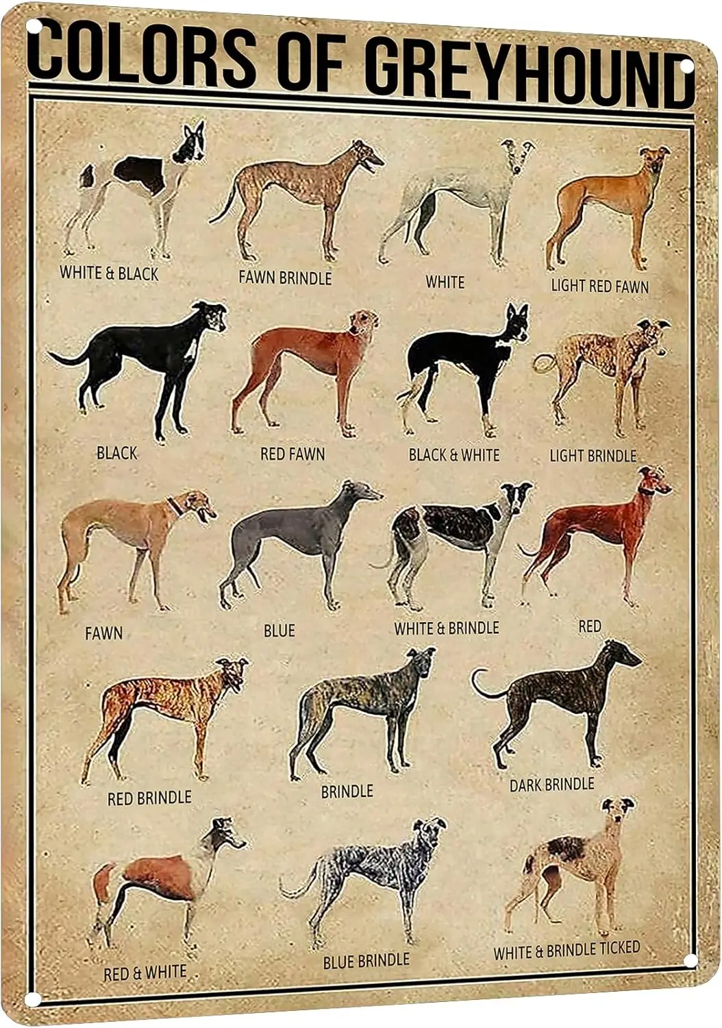 Colors Of Greyhound Metal Tin Sign - Vintage Farmhouse Home & Bathroom Decor Poster - Retro Educational Wall Art for Dog Lov