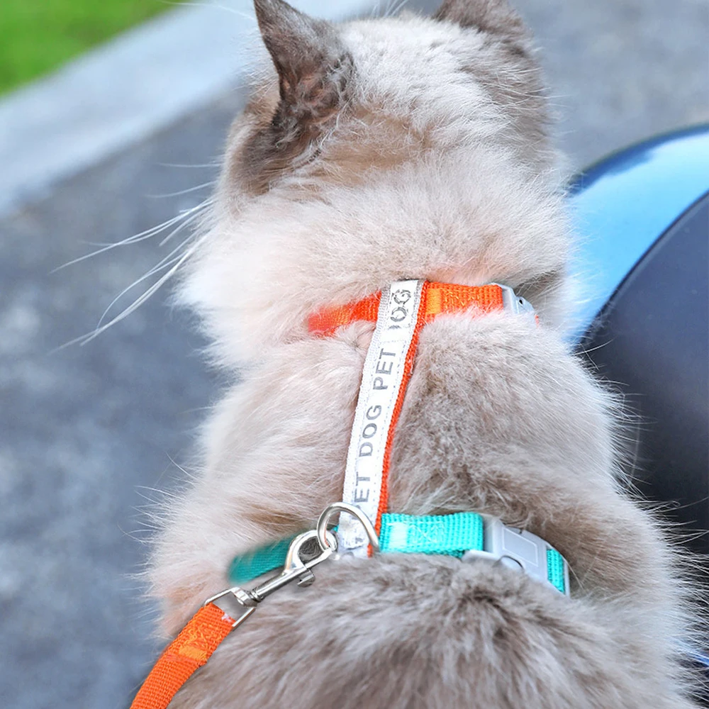 على شكل H حزام الحيوانات الأليفة العاكسة المضادة للانفصال ، مجموعة المقود ، حزام الصدر للكلاب الصغيرة والمتوسطة ، جرو الرصاص المشي في الهواء الطلق