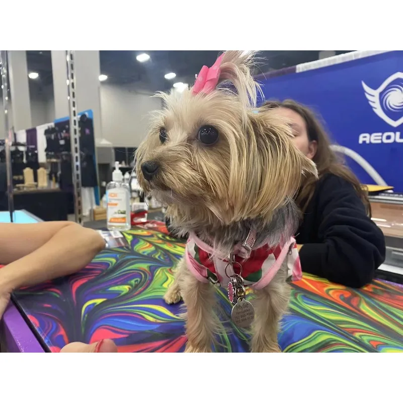 صالون العناية بالحيوانات الأليفة، طاولة أكورديون كبيرة للكلاب، طاولة احترافية لرفع الكلاب الكهربائية