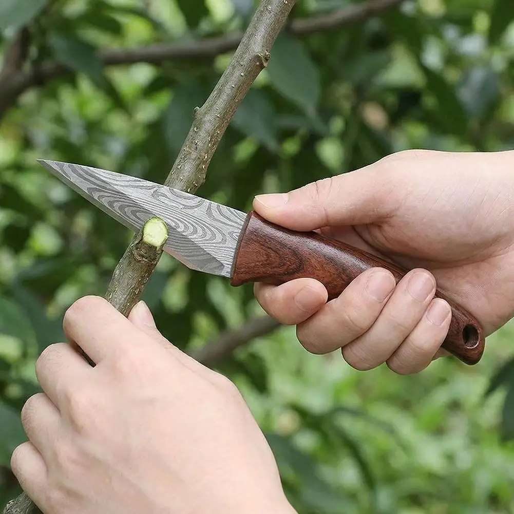 Stainless Steel Grafting Knife with Leather Shell Wooden Handle for Garden Grafting/unpacking Solid Wood Handle Garden Hand Tool image 5