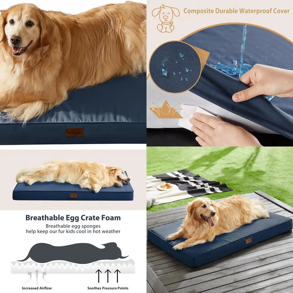 

Large Dog Orthopedic Waterproof Bed with Removable, Washable Cover and Egg Crate Foam, 54x36 inches, Navy Blue
