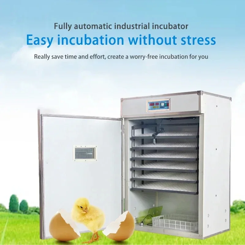 حاضنة البيض آلة حاضنة منزلية صغيرة أوتوماتيكية بالكامل درجة حرارة ثابتة معدات حاضنة ذكية