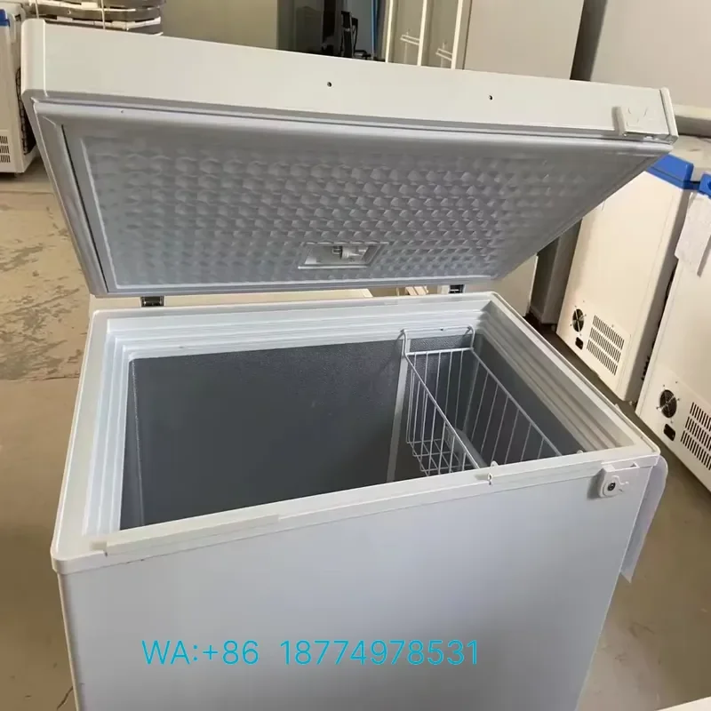 for China Factory Solar Freezer 208L Eco Friendly Energy Saving Portable Commercial Use