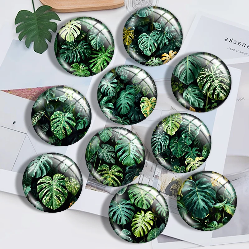 

Watercolor Monstera Leaves 12mm/18mm/20mm/25mm Round photo glass cabochon demo flat back Making findings