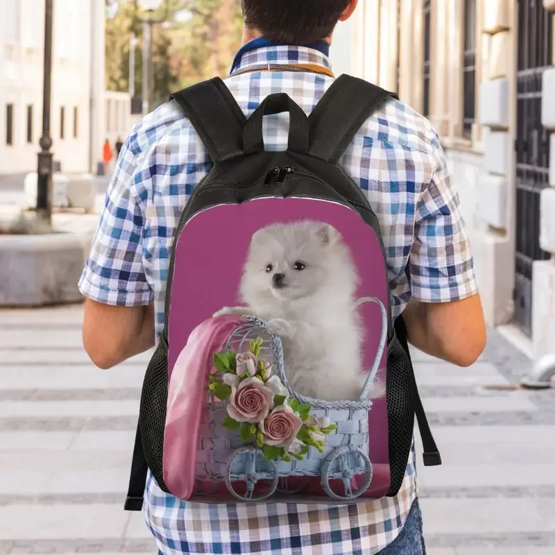 Mochila de viaje con estampado de perro Pomerania para hombre y mujer, morral escolar para ordenador portátil, Spitz Puppy, morral para Estudiante Universitario