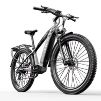 Cysum Speedy 27.5\