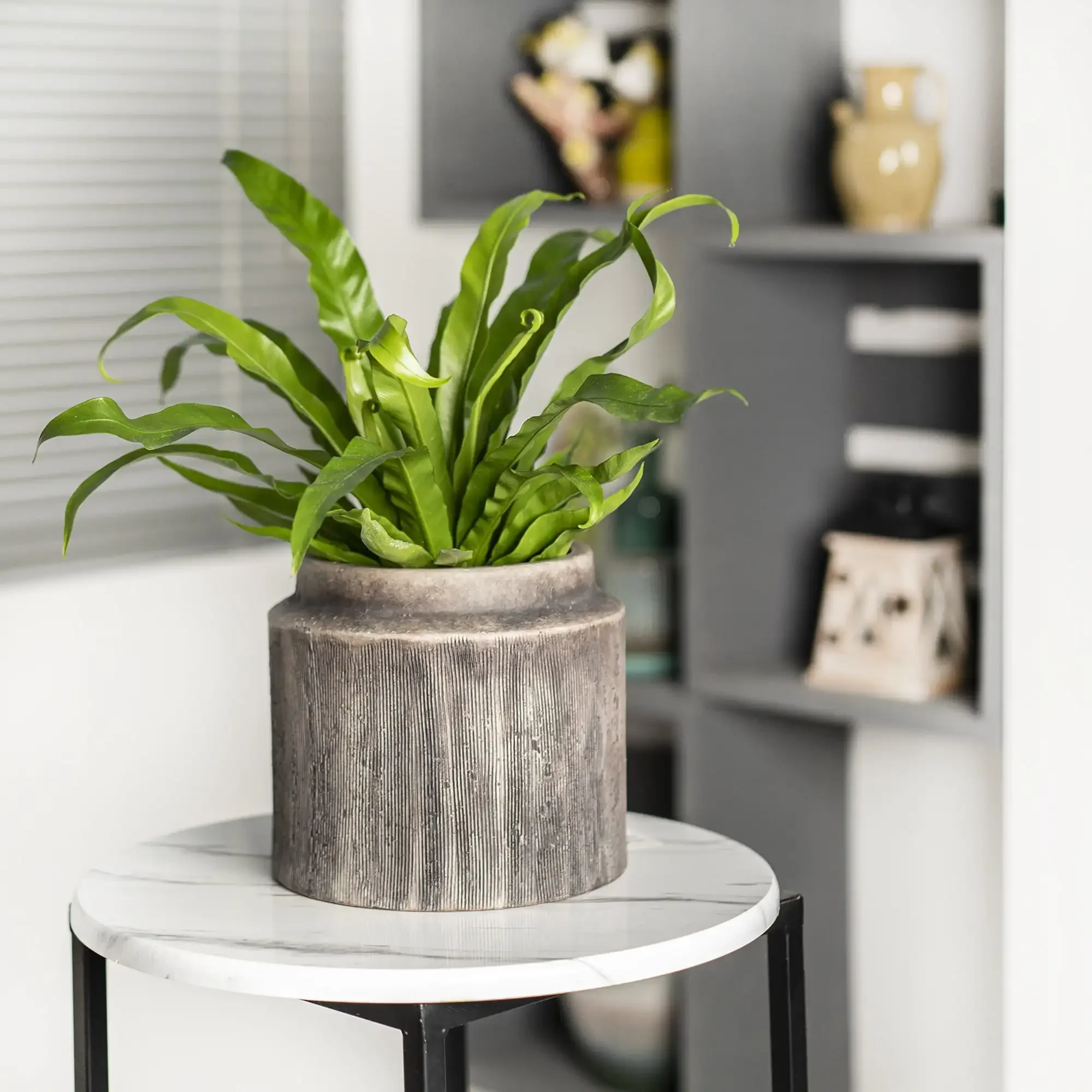 

Керамический горшок для растений Brown Alexander, 8-дюймовый декоративный круглый горшок для дома или сада