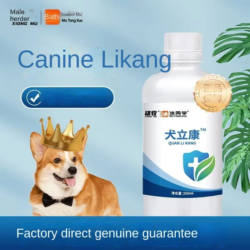 Perro, cachorro, frío, fiebre, moquillo canino, tos ligera, correa de mocos, pérdida de apetito, anorexia 250ml