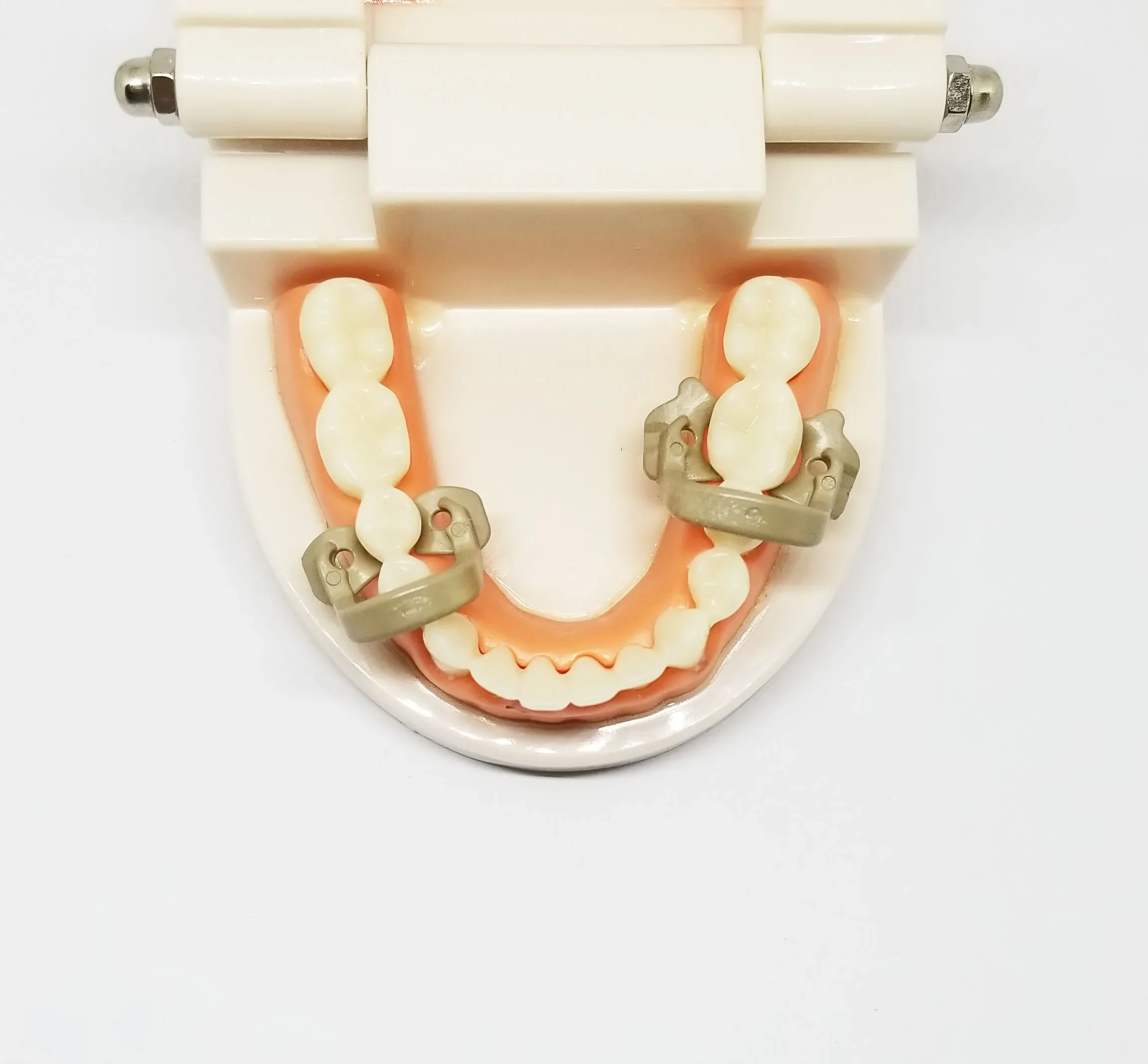 مشابك سد مطاطية للأسنان، مشابك حاجز من مادة الراتنج لعزل الأسنان والإجراءات الترميمية وأدوات المختبر