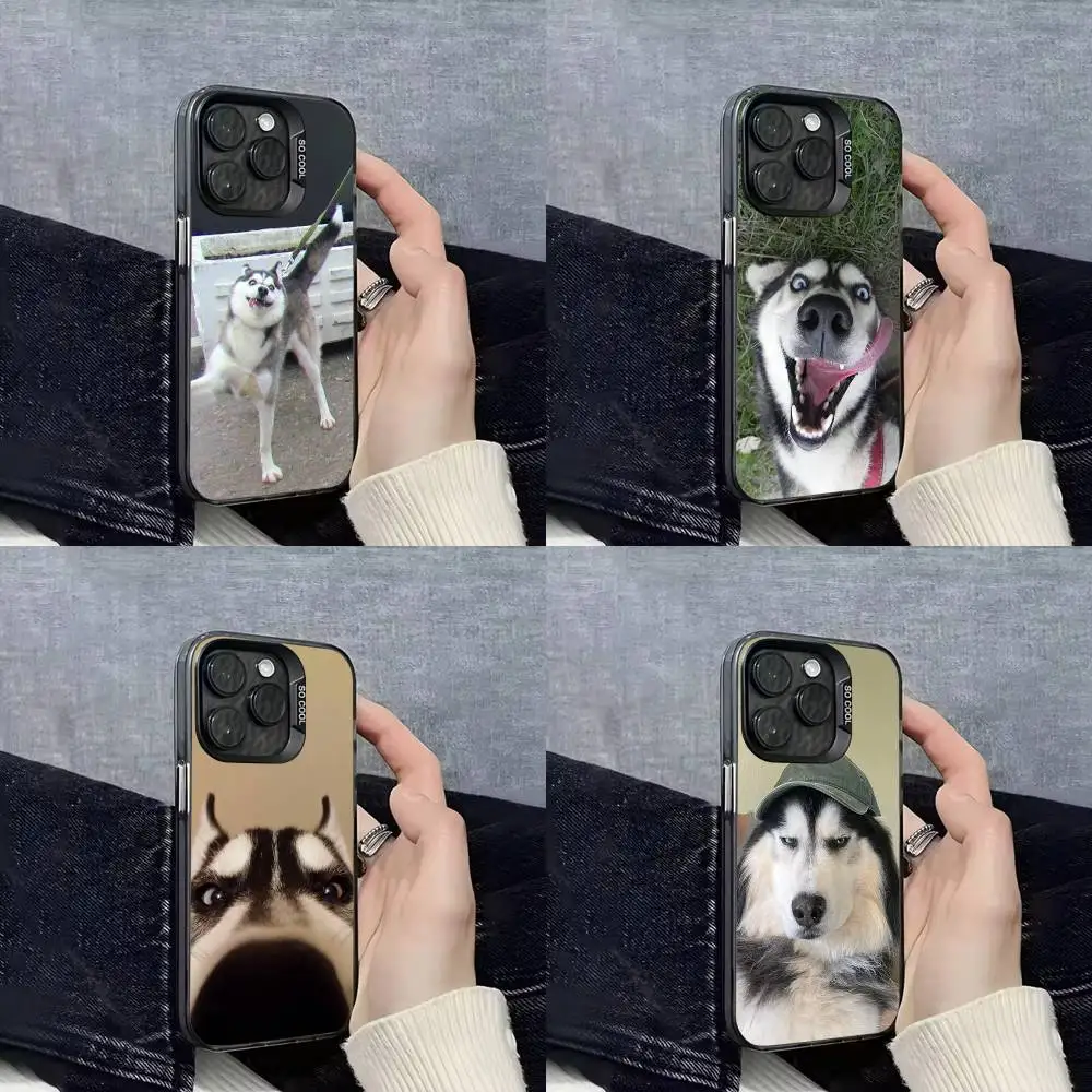 

Funny Pet Siberian Husky Dog Phone Case For iPhone 17,16,15,14,13,12,11,Pro,Max,Plus,E,SE4,Air,Mini Black IMD Cover