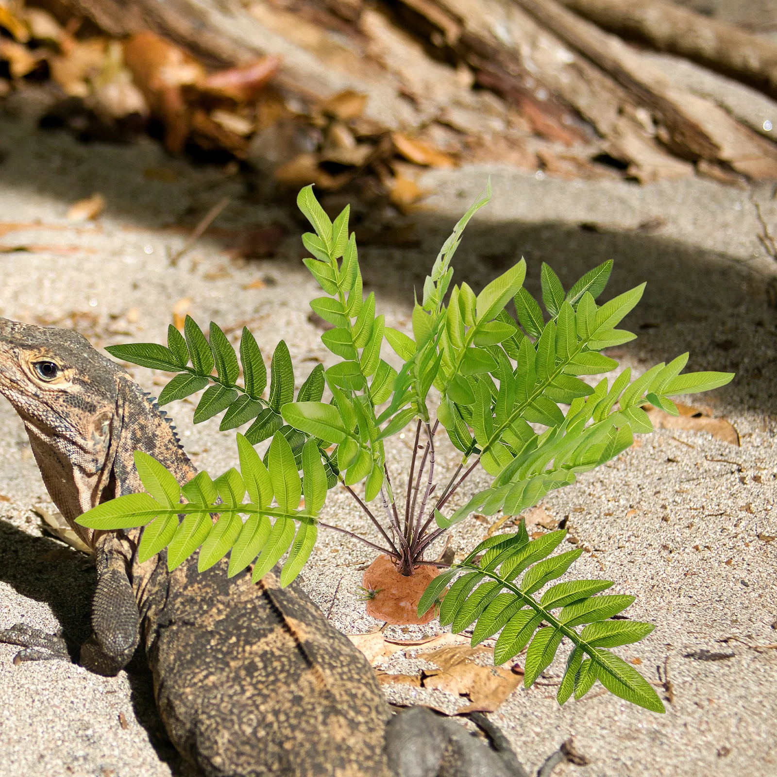 

Reptile Hideout Decorative Plant Simulated Leaves for Terrarium Reptile Tank Landscaping Artificial Leaf Ornament