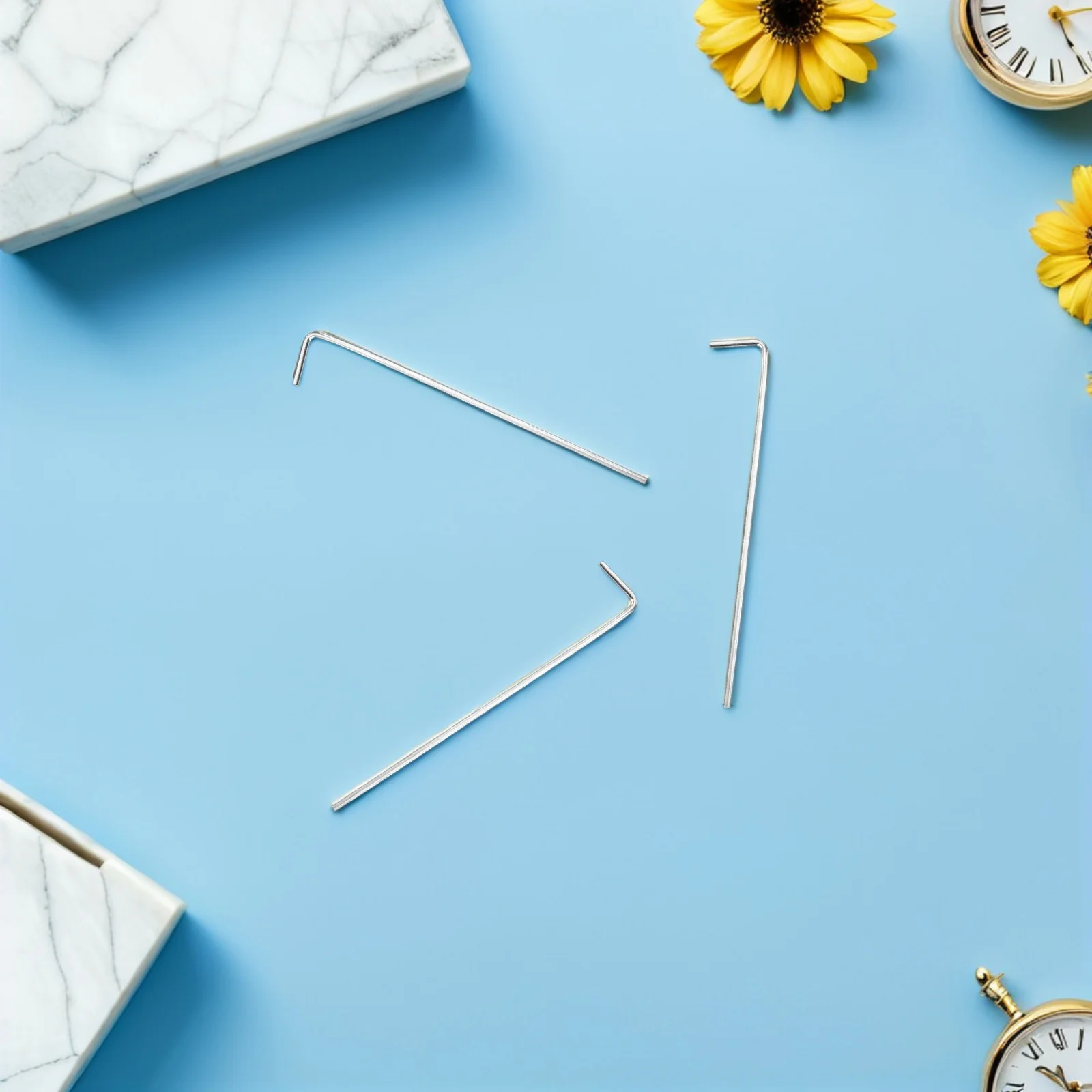 32 قطعة مسامير خيمة المظلة المجلفنة غير الصدأ حصص الأرض ملحقات المخيم خيام التخييم المعدنية #3