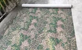 DOT44