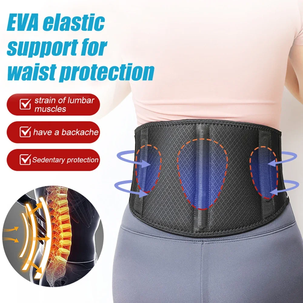 

Adjustable Back Brace Breathable Lumbar Support Belt Women Men Lower Back Pain Relief for Sciatica, Herniated Disc, Scoliosis