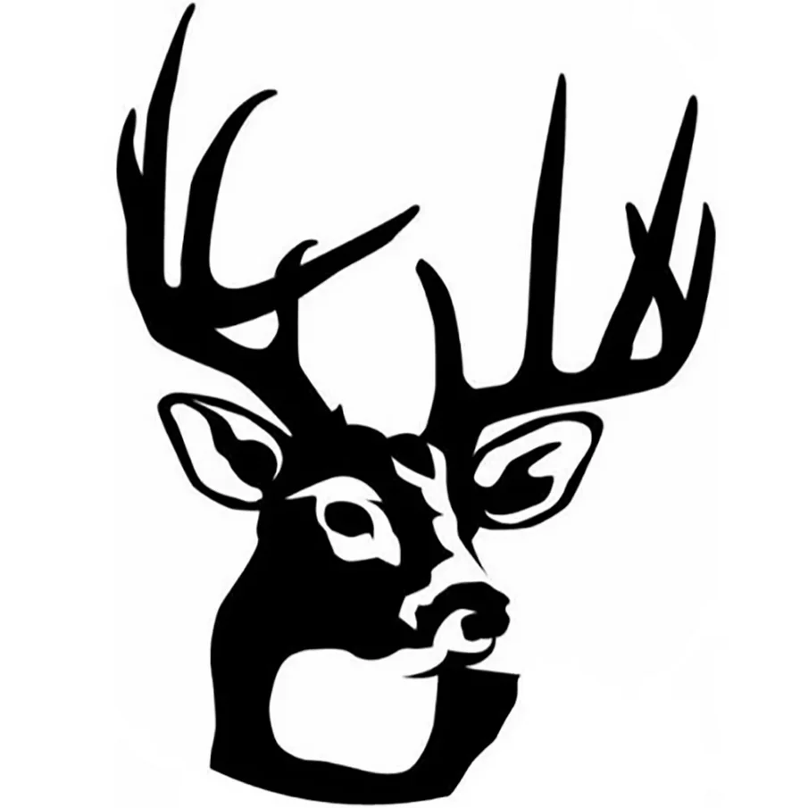 11.2 * 15Cm Hunting… - image