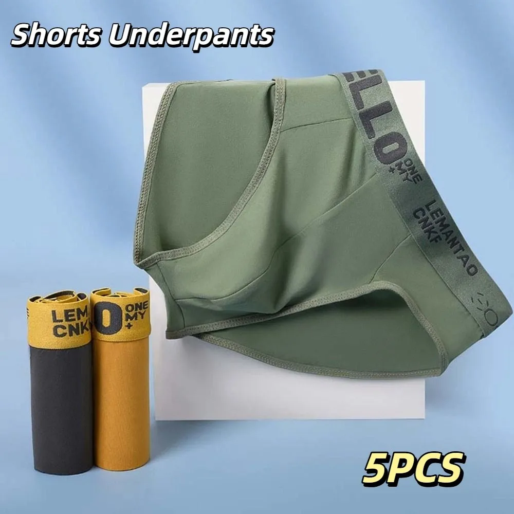 

5PCS Comfortable Low Waist Men Thin Panties Male Lingerie Elastic Underwear for Men Briefs Letter Underpants Gifts