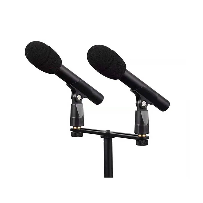 HUAIN professional Condenser Mic Interchangeable 2 Head Modular Instrument Recording Microphone with stand