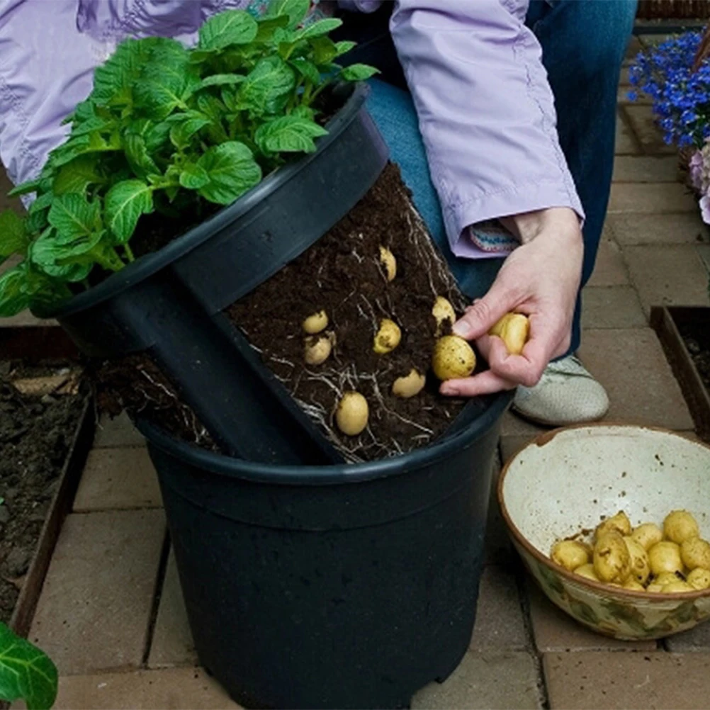 

Plastic Plant Pots Plastic Flower Pots Small Plastic Flower Pots