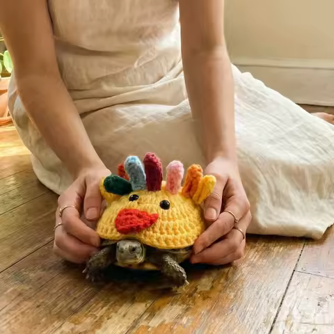 Cute Adjustable Strap Knitted Turtle Sweater Handmade Funny Tortoise Clothes Soft Cartoon Turtle Chick Costume Winter Clothing