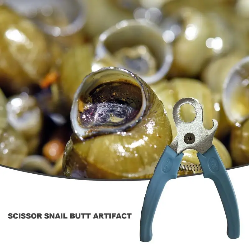 Escargot Tail Remover Cutting Tool Snail Scissors Kitchen Gadgets Stainless Steel Seafood Tool Escargot Tail Removal Snail