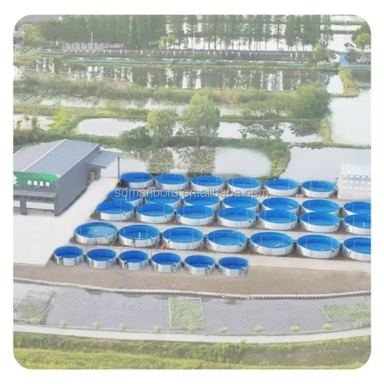 AIROW 8m Diameter 1.45m Height Shrimp Tilapia Fish Farming Equipment Aquaculture Galvanized Tarpaulin Fish Pond Tanks