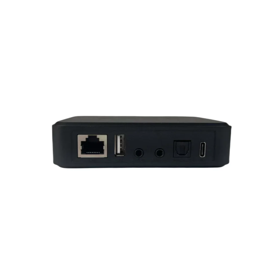 جهاز غاسل الموسيقى اللاسلكي Arylic LP10 مع Google Cast Stream من لوحة عرض التطبيق المفضلة، مخرج رقمي وتناظري متعدد الغرف