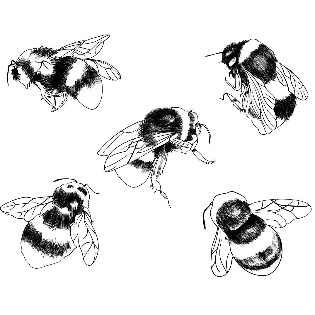 A Small Animal Bees Transparent Silicone Rubber Stamp and Die Sheet Cling Scrapbooking DIY Cute Pattern Photo Album