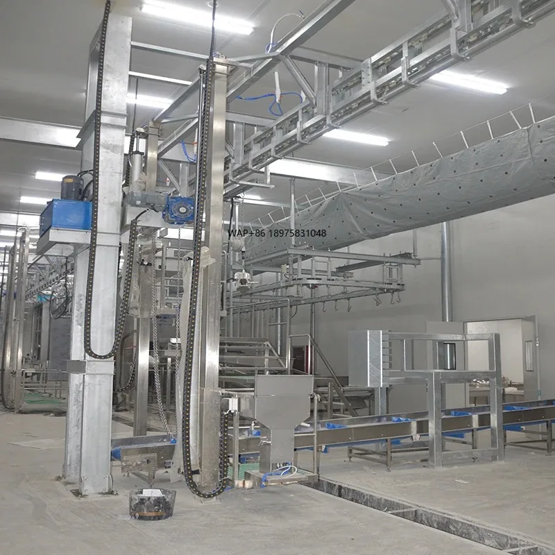 Automatic Halal 500 Heads Cattle Goat Sheep Abattoir Equipment Slaughter Line High Steel Construction Farm Use