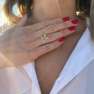 Colar de aço inoxidável feminino, joia do orgulho trans, LGBT, transgênero, presente de Natal para ela e ele 10 principais vendas lgbt pingentes - №9