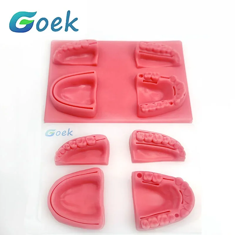 4pcs/set Dental Oral/Gum Suture Training Module Removable Silicone Periodontitis Suture Model Dentistry Dentist Lab Tools