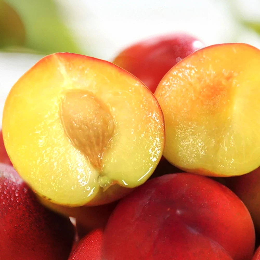 SacFrutas más fuertes de verano, ciruela Fumusa 2 kg (exteriores 75 g por perro)