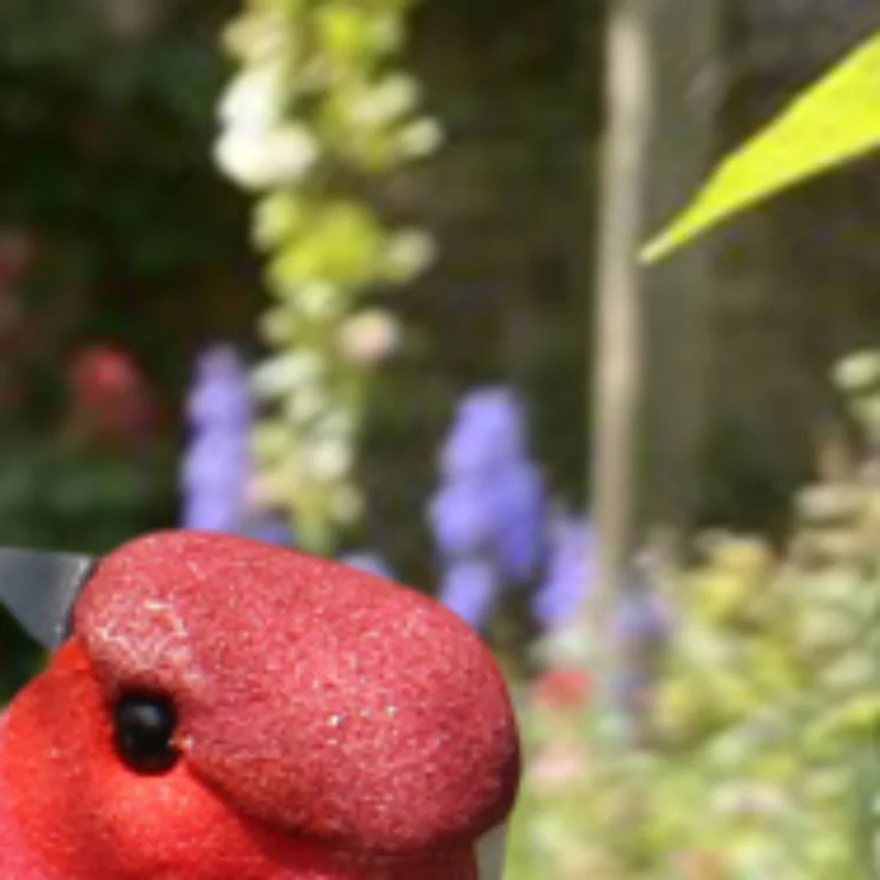 

1 piece of realistic feathered bird, colorful foam bird, for garden and landscape decoration, craftwork.