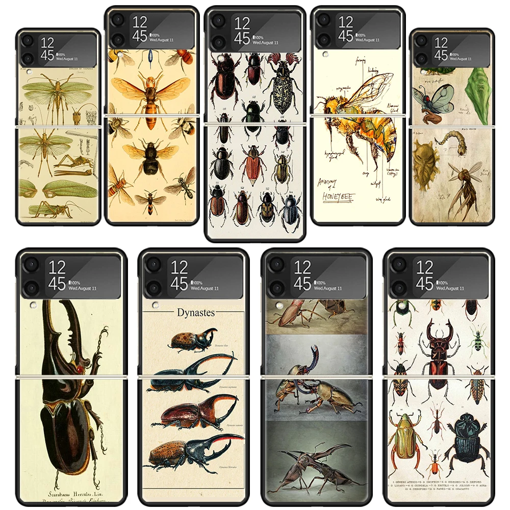 Bugs Bees Scientific Decomposition Phone Case for Samsung Galaxy Z Flip 6 5 4 3 5G Black Hard Cover ZFlip6 ZFlip5 ZFlip4 ZFlip3