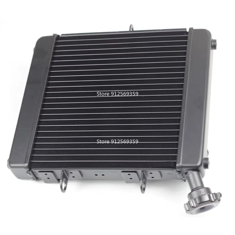 Motorcycle radiator parts, coolant tank, Water Cooler Radiator For Benelli Leoncino 500 BJ500 BJ500GS BJ 500 500GS