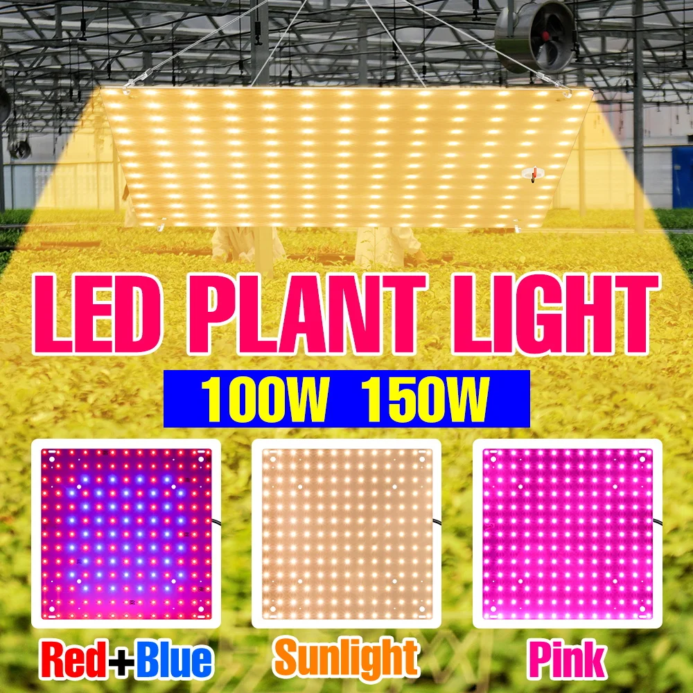 

150W LED Full Spectrum Growth Lamp Quantum Plate Plant Fill Light Indoor Potted Flower Succulent Lighting Cultivation US/EU Plug