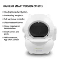 White smart model