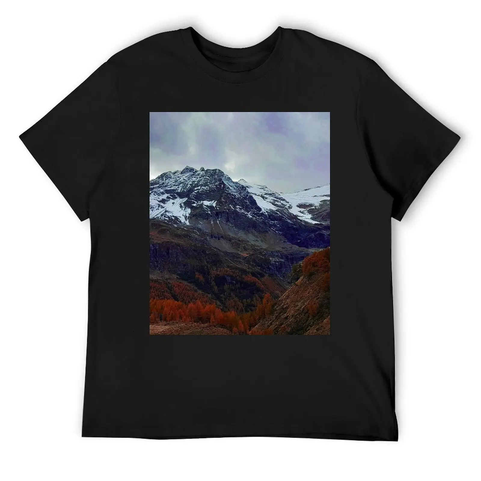 

Swiss Alps from the Bernina Express T-Shirt aesthetic clothes sublime custom t shirt vintage clothes for men