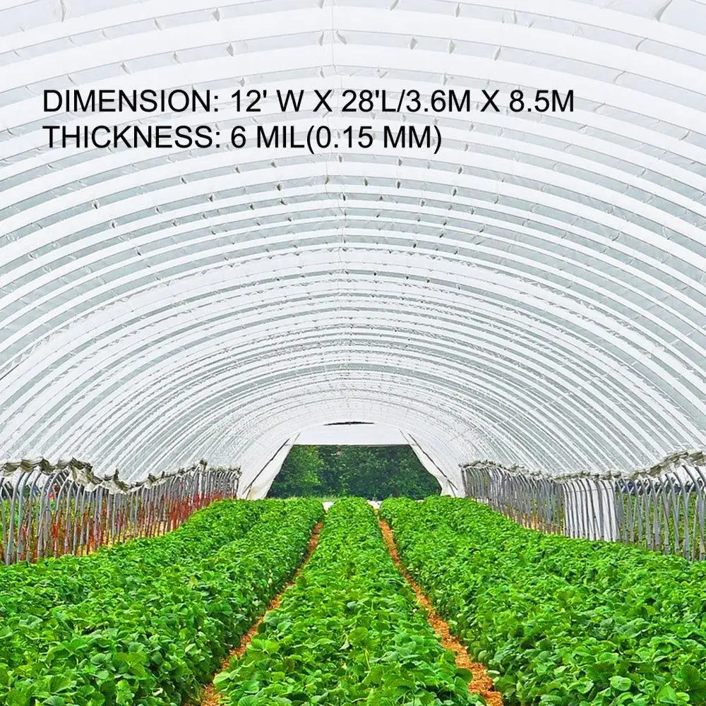 12x28 ft Greenhouse Film - 6 Mil Polyethylene, UV Resistant Clear Plastic for Superior Strength & Heat Retention