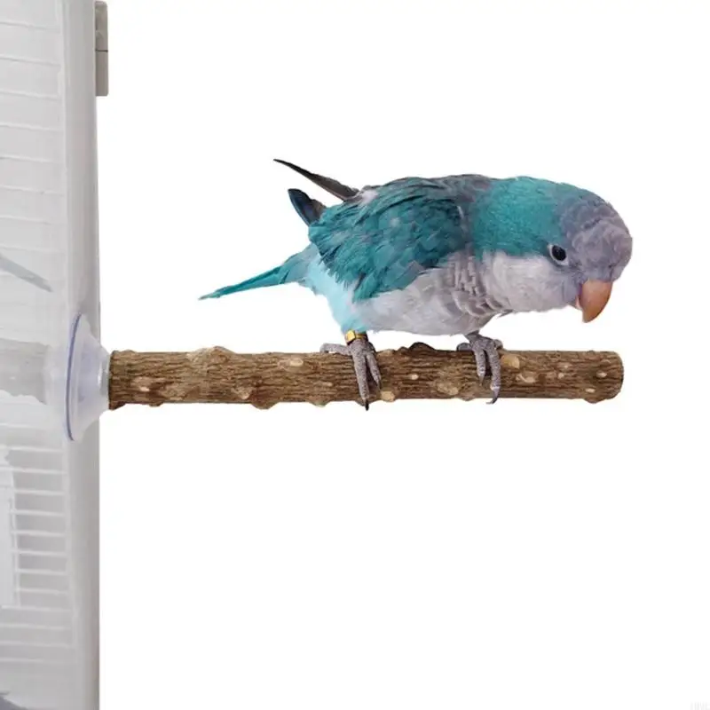Set of 2 Natural Bird Standing Perch Suction Cup Perches For Healthy Beak J0MC