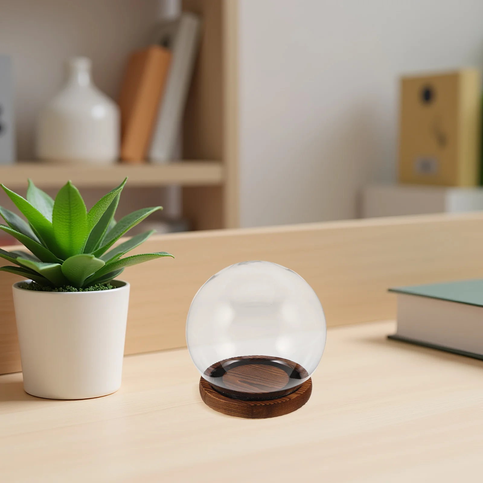 

Clear Glass Dome With Base Preserved Flower Glass Cover Anti-Drop Lock Design Transparent Dust Proof Cloche For Eternal