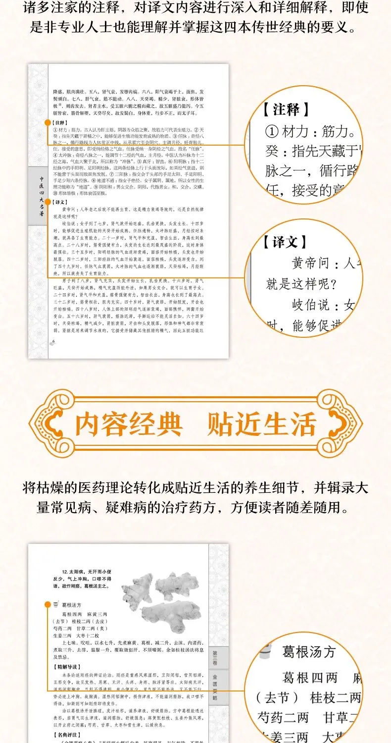 The Complete 4-Vol. Collection of the Four Great Classical Works of Traditional Chinese Medicine on Health Preservation