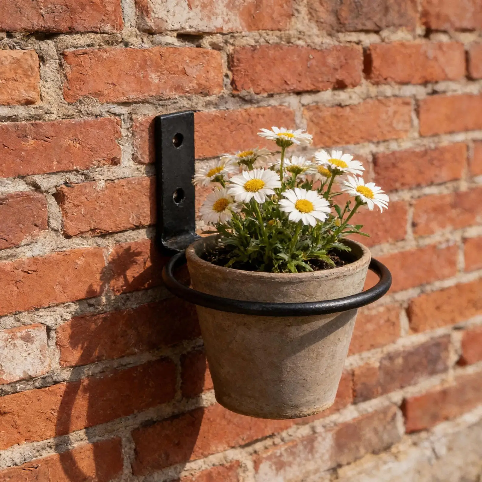 

Кольцевой настенный держатель для цветочных горшков, кронштейн для балконных кашпо, для использования в помещении и на улице, для экономии места, для декоративных горшков