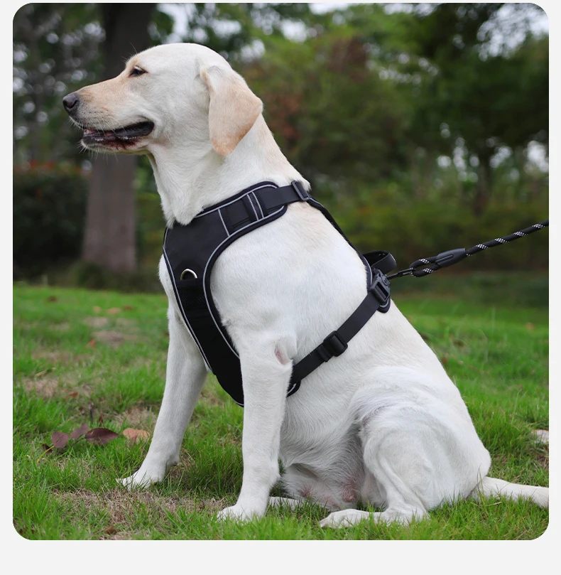 Kein ziehendes Hundegeschirr mit AirTag-Halter, Griff und vorderem Clip – verstellbare, reflektierende, weich gepolsterte Hundegeschirrweste zum Spazierengehen, Tra – Detail 18