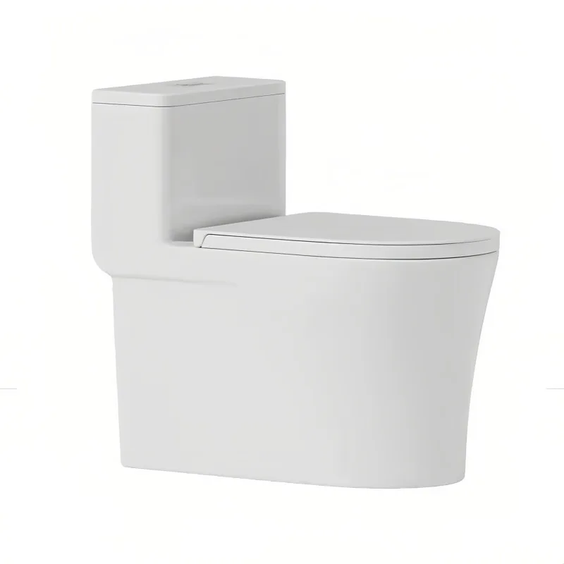 Premium Siphon WC for Small Bathroom, Large Bore, Powerful Flush, Water Saving and Anti-odor Household Commode