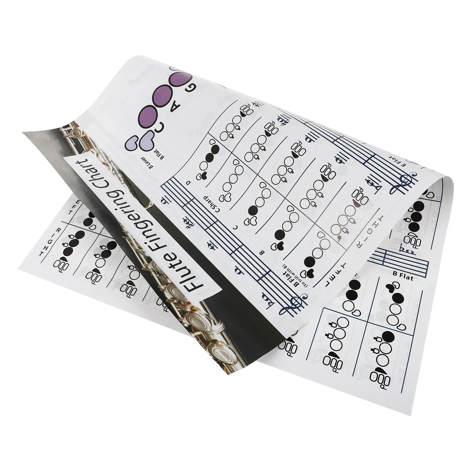 

Flute Chord Learning Reference Chart for Novice Flutists Flute Training Guide Featuring Accurate Finger Positions Premium Coated