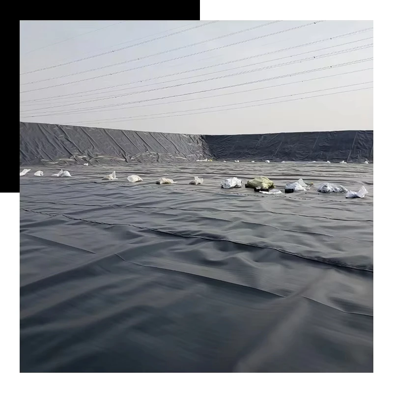 Customized HDPE Geomembrane Pond Liner Waterproof Membrane for Fish Pond Landfill Mining Project