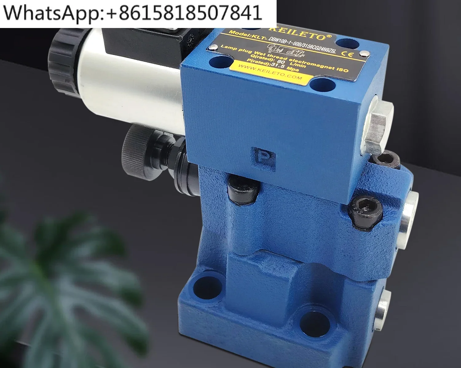 

Solenoid relief valve DBW10B/24V pressure regulator DBW20B/30B pressure relief valve solenoid directional valve 24 220