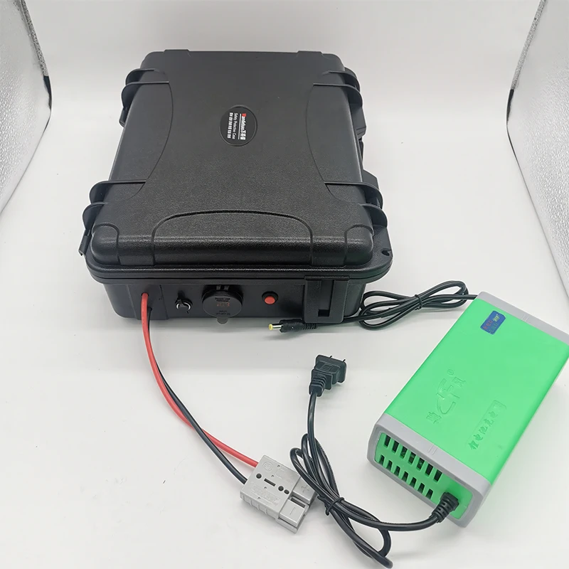 BMS付きリチウム電池,LiFePo4,12V, 60Ah, 80Ah, 100Ah, 120Ah, 150Ah, 200Ah,漁船,車両電源,10A充電器